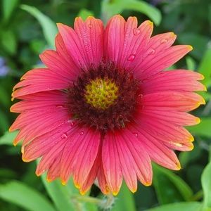 Meet your Posher, Kristina